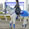 【ニューイヤーカップ2022予想】浦和1500mのSIII戦です