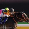 【フェブラリーステークス2018予想考察】ゴールドドリームら出走予定