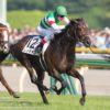 【ドバイワールドカップ＆シーマクラシック2018予想】レイデオロら出走