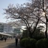 【名古屋大賞典2018予想】名古屋1900mのJpnIII戦です