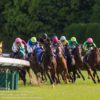 【天皇賞（春）2018予想】円熟期を迎えたガンコ＆藤岡祐介騎手