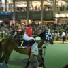 【東京ダービー2018予想】大井2000mのSI戦です