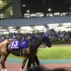 【関東オークス2018予想】川崎2100mのJpnII戦です
