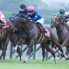 【スプリンターズステークス2018予想】ファインニードルの相手探し