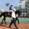 【鎌倉記念2018予想】川崎1500mのSIII戦です