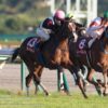 【京王杯２歳ステークス2023予想】アグラードの素質を信頼