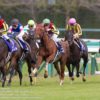 【阪神ジュベナイルフィリーズ2018予想】ダノンファンタジーの１強