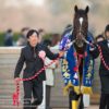 【有馬記念2018予想考察】枠順確定後の見解