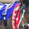 【ホープフルステークス2018予想考察】サートゥルナーリアら出走予定