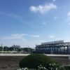 【ＴＣＫ女王盃2022予想】大井1800mのJpnIII戦です