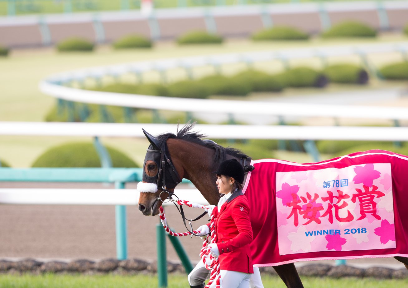 【桜花賞2019予想考察】ダノンファンタジーら出走予定