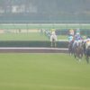 【中山グランドジャンプ2019予想】今年もオジュウチョウサン