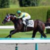【天保山ステークス2019予想】ヴェンジェンスの好位差し