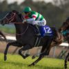 【宝塚記念2019予想】リスグラシュー＆レーンが魅せる