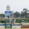 【スプリンターズステークス2023予想】ピクシーナイトの復活ある