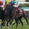 【ローズステークス2023予想】コンクシェルの逃走劇