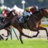 【毎日王冠2019予想】ケイアイノーテック復活の差し切り
