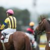 【アルテミスステークス2019予想】リアアメリアの相手探し