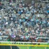 【アルゼンチン共和国杯2019予想考察】ルックトゥワイスら出走予定