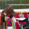 【阪神ジュベナイルフィリーズ2019予想考察】リアアメリアら出走予定