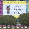 【有馬記念2019予想考察】アーモンドアイら出走予定