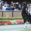 【東京新聞杯2020予想】キャンベルジュニアの粘り込みに期待