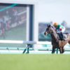 【中山牝馬ステークス2020予想】フィリアプーラの末脚がさく裂