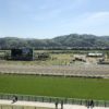 【ラジオＮＩＫＫＥＩ賞2020予想】馬場味方にコスモインペリウム